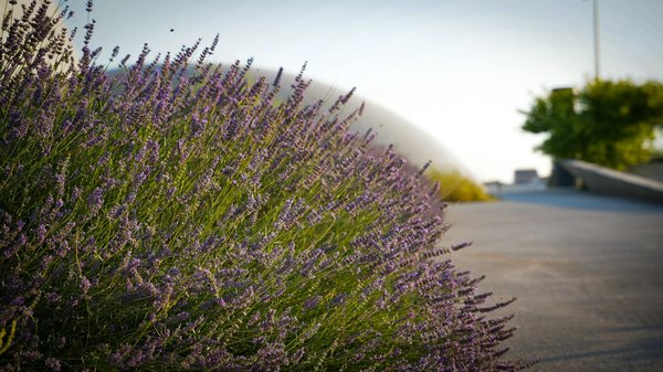 Le guide ultime pour entretenir votre balustrade inox