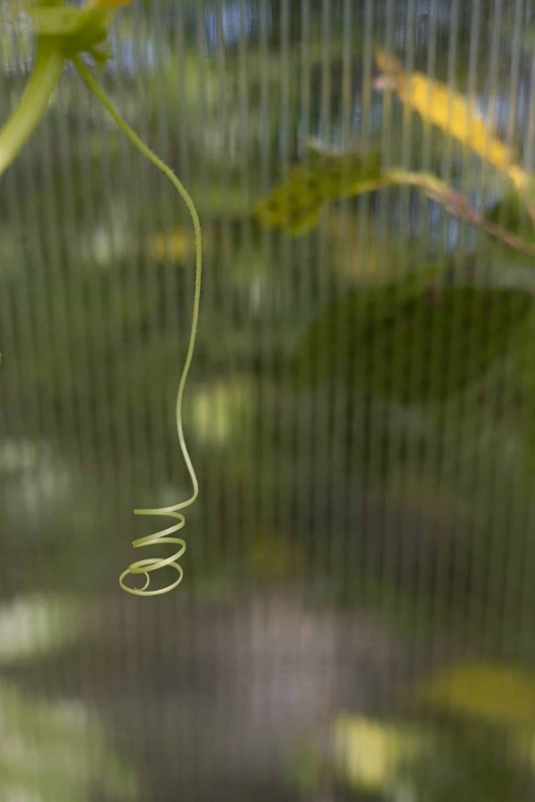 Comment adapter le style Tudor à une décoration intérieure moderne ?