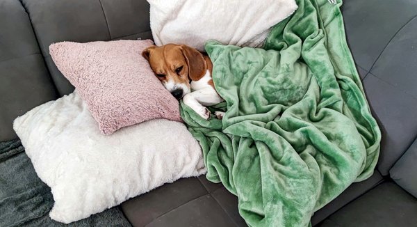 Housse de canapé : comment faire le bon choix ?